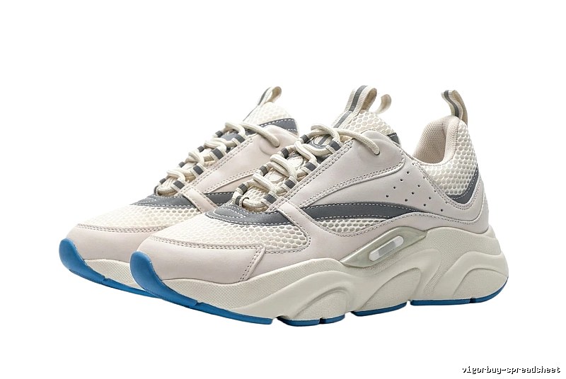 Dior Dad Shoes in Gray, White and Blue Color Scheme