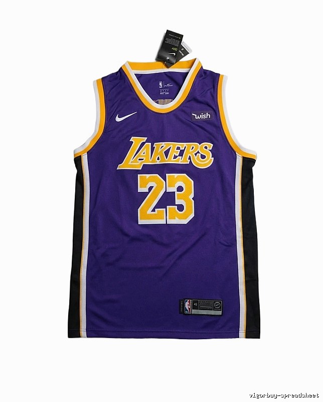 LBJ Lakers retro purple jersey