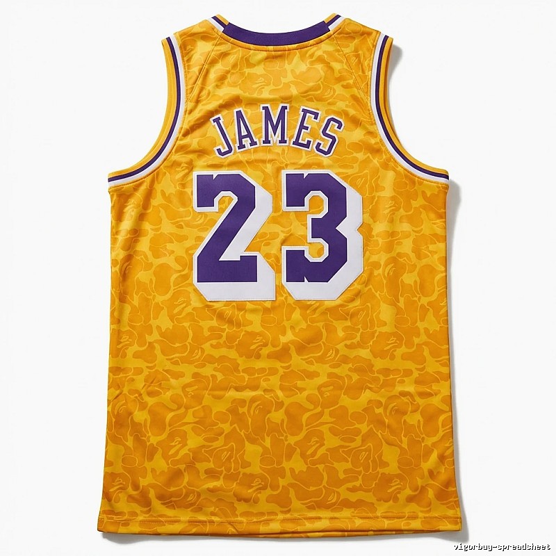 LBJ No. 23 camouflage-style jersey