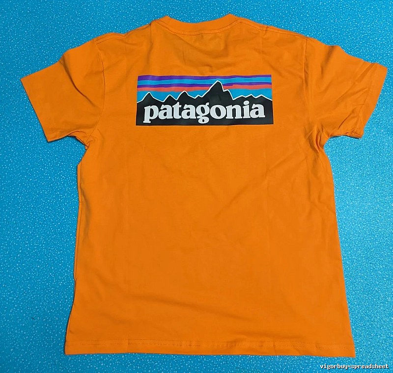Patagonia Orange Logo T-Shirt Logo Detail Graphic