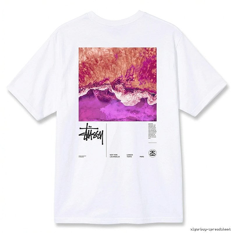 Stussy wave - printed white T - shirt