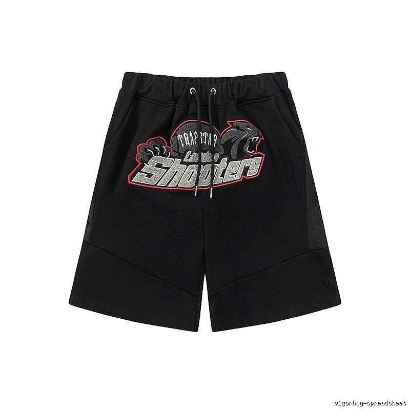 Toronto Raptors Casual Team graphic T-shirt Black Toronto Raptors for Streetwear Looks